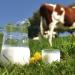 Ползи и вреди от домашното мляко