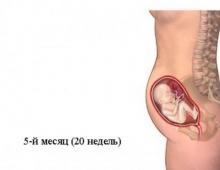 De ce apare sângerarea în timpul sarcinii?